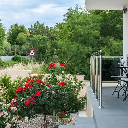 Apartment Lovely In With Wifi