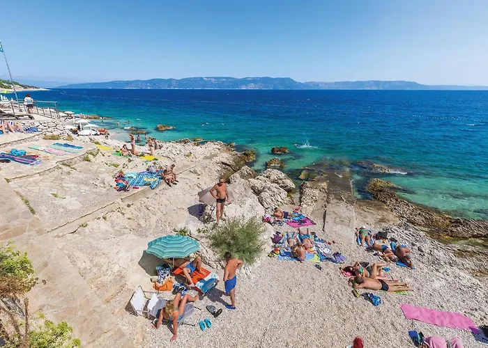 Apartment Lovely In With Wifi